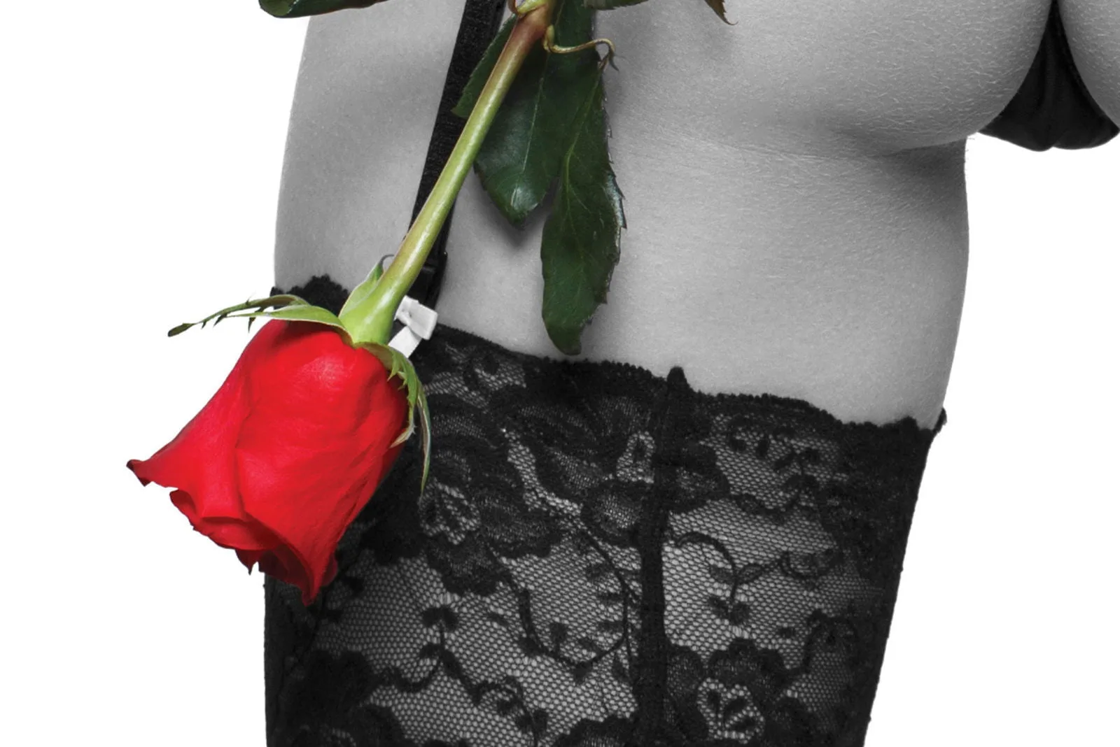 Rollup Dizajn LoveVibe